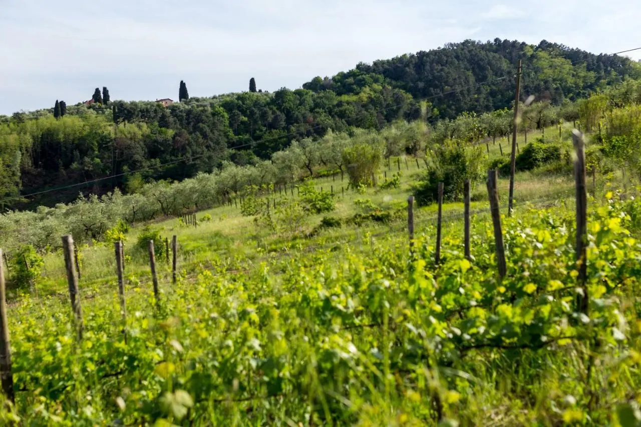 Buongiorno Nel Verde Villa Santo Stefano  Santo Stefano (Lucca)