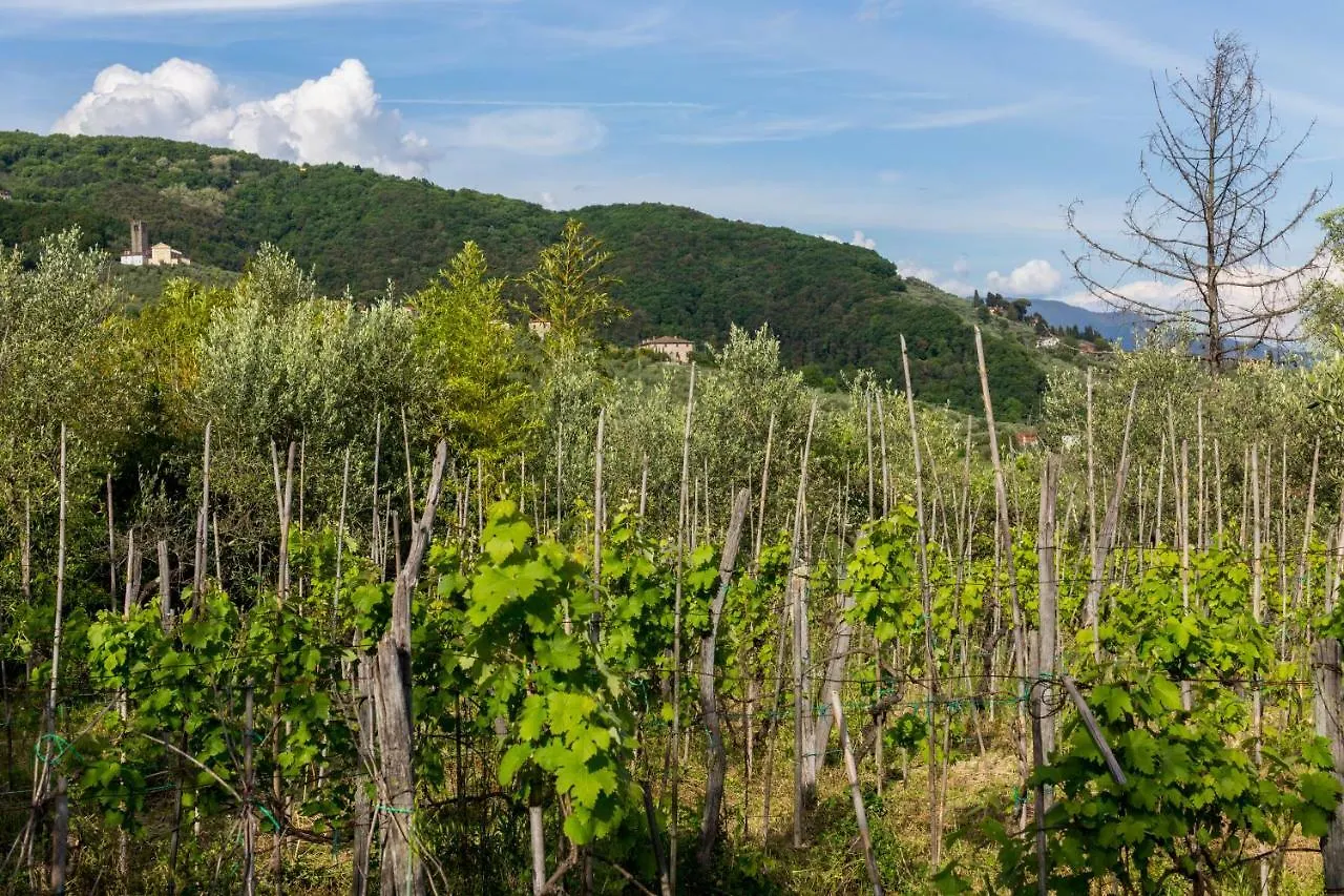 Buongiorno Nel Verde Villa Santo Stefano  0*, Santo Stefano (Lucca)
